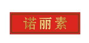 諾麗素 日用百貨銷售的新興力量
